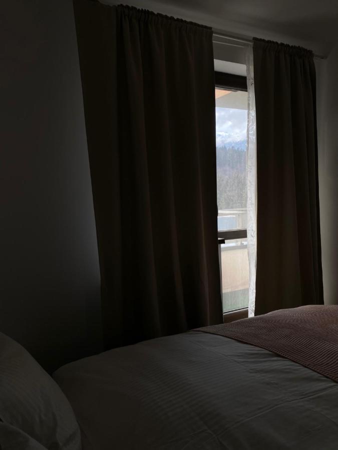 시나이아 Ioana'S Apartament 아파트 외부 사진