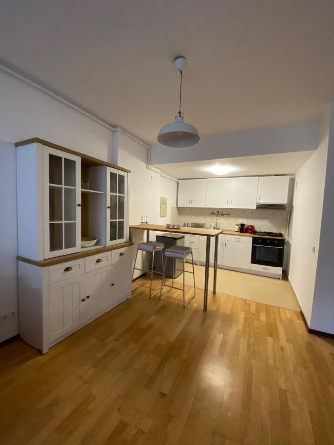 시나이아 Ioana'S Apartament 아파트 외부 사진
